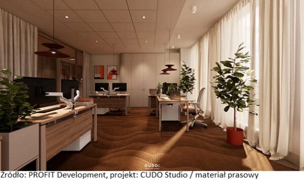 PROFIT-Development_CUDO-studio